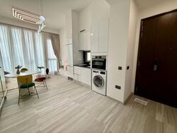 Kallang Riverside (D12), Apartment #555321731